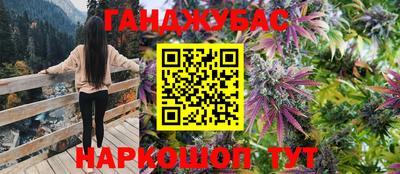 крисы Кунгур