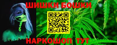 крисы Кунгур