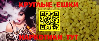 крисы Кунгур